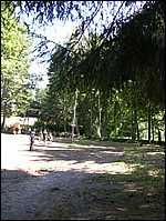 Bourání